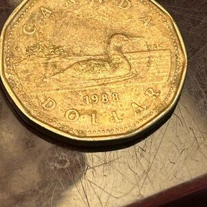 1988 Canadian Loon Dollar Coin